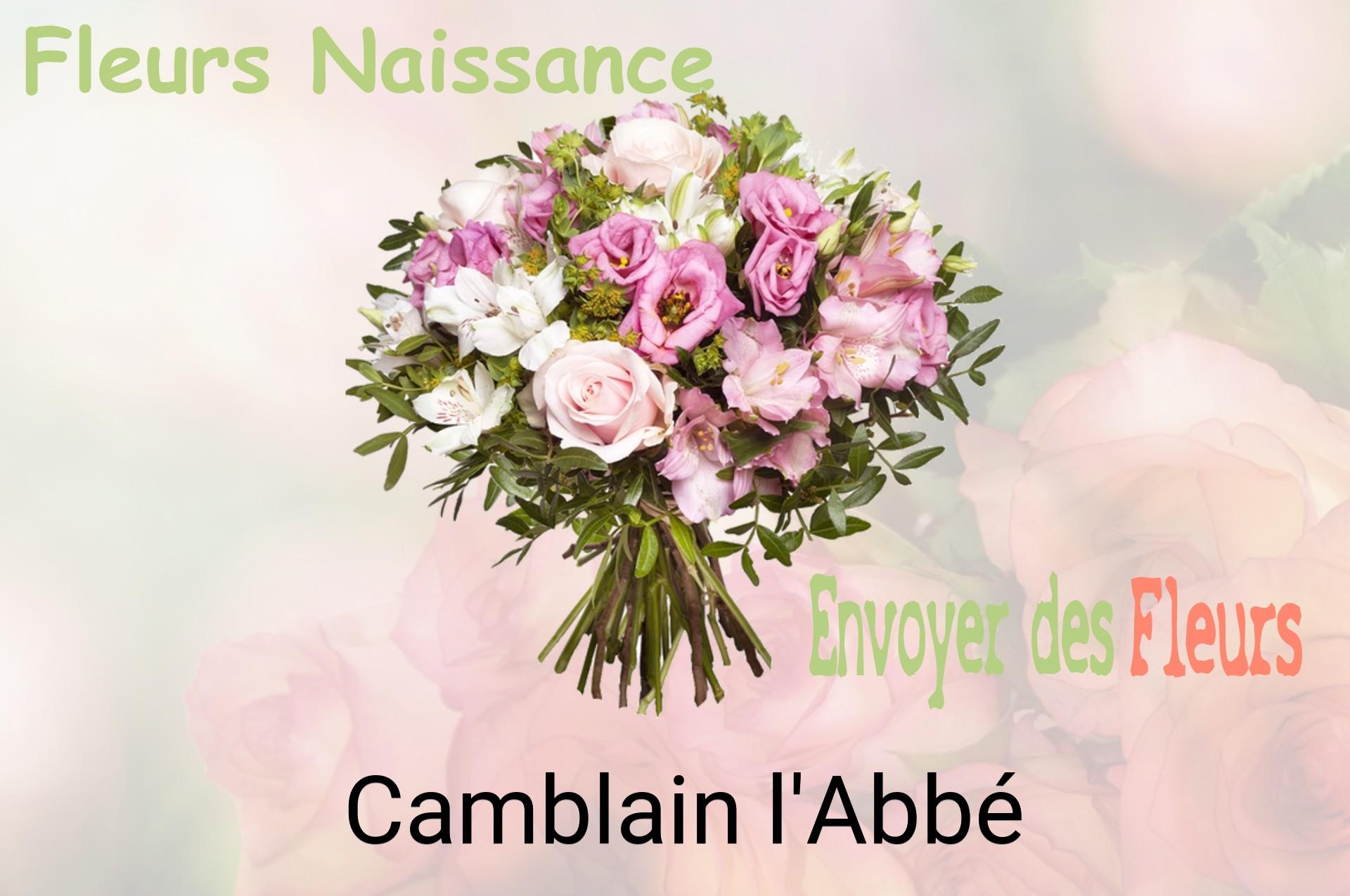 Bouquet de fleurs de naissance livré à Camblain-l'Abbé